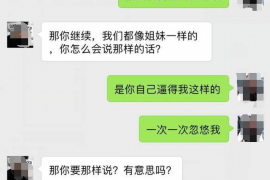 大英贷款清欠服务